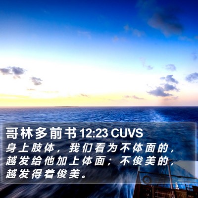 哥 林 多 前 书 12:23 CUVS Bible Verse Image