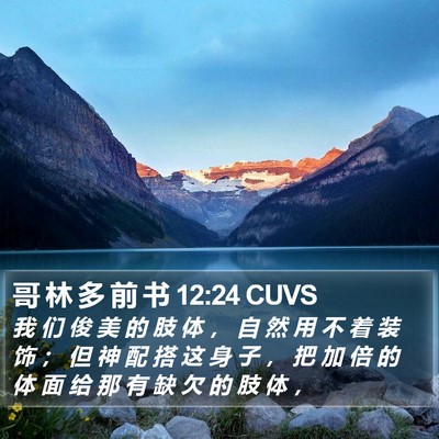 哥 林 多 前 书 12:24 CUVS Bible Verse Image