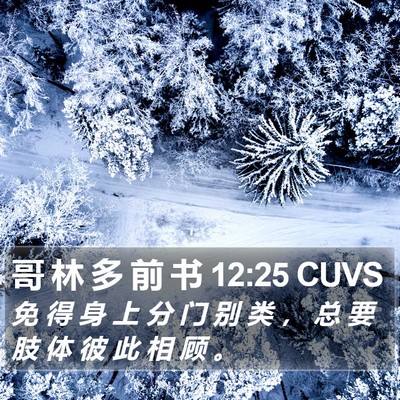 哥 林 多 前 书 12:25 CUVS Bible Verse Image