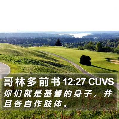 哥 林 多 前 书 12:27 CUVS Bible Verse Image