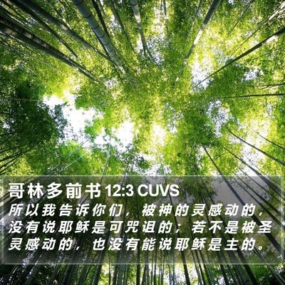 哥 林 多 前 书 12:3 CUVS Bible Verse Image