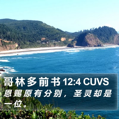哥 林 多 前 书 12:4 CUVS Bible Verse Image