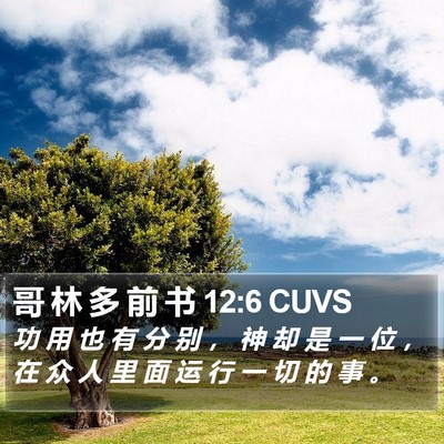 哥 林 多 前 书 12:6 CUVS Bible Verse Image