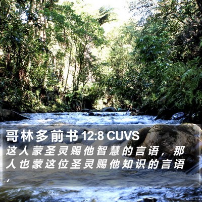 哥 林 多 前 书 12:8 CUVS Bible Verse Image