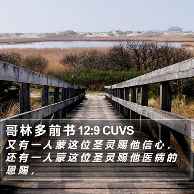 哥 林 多 前 书 12:9 CUVS Bible Verse Image
