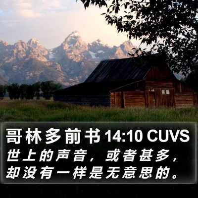 哥 林 多 前 书 14:10 CUVS Bible Verse Image