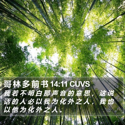 哥 林 多 前 书 14:11 CUVS Bible Verse Image