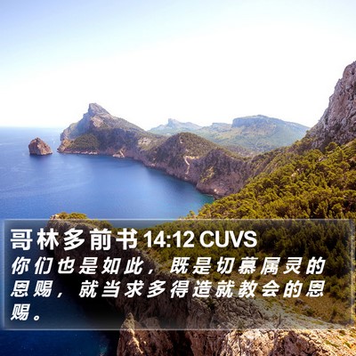 哥 林 多 前 书 14:12 CUVS Bible Verse Image