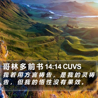 哥 林 多 前 书 14:14 CUVS Bible Verse Image