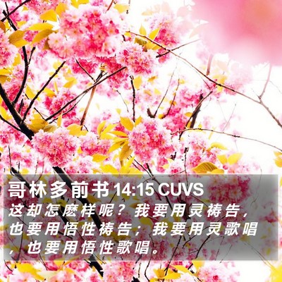 哥 林 多 前 书 14:15 CUVS Bible Verse Image