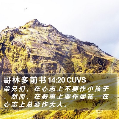 哥 林 多 前 书 14:20 CUVS Bible Verse Image