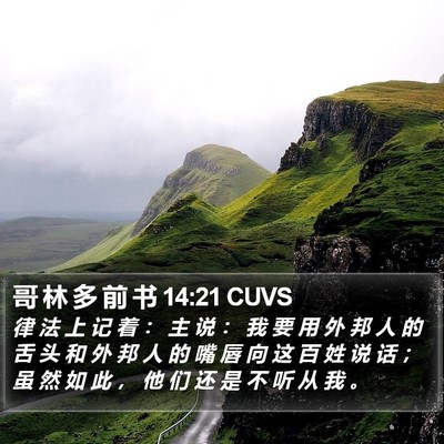 哥 林 多 前 书 14:21 CUVS Bible Verse Image