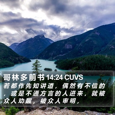 哥 林 多 前 书 14:24 CUVS Bible Verse Image