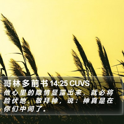 哥 林 多 前 书 14:25 CUVS Bible Verse Image
