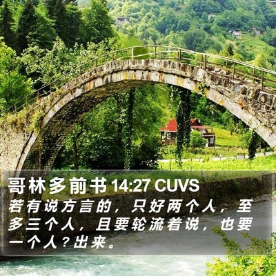哥 林 多 前 书 14:27 CUVS Bible Verse Image