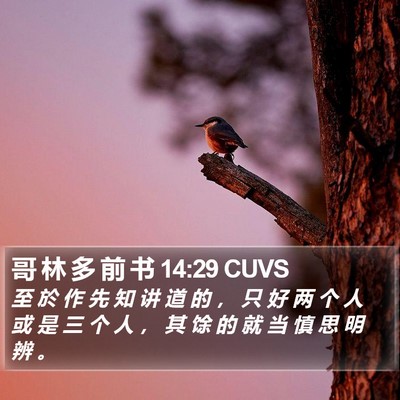 哥 林 多 前 书 14:29 CUVS Bible Verse Image