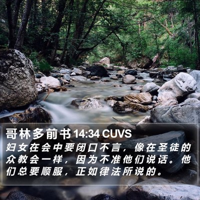 哥 林 多 前 书 14:34 CUVS Bible Verse Image