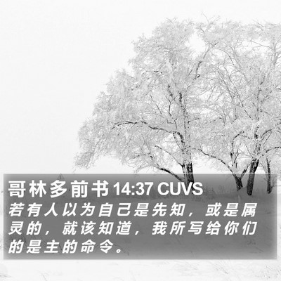 哥 林 多 前 书 14:37 CUVS Bible Verse Image