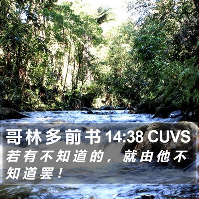 哥 林 多 前 书 14:38 CUVS Bible Verse Image