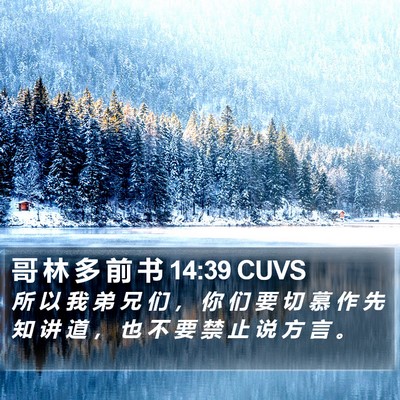 哥 林 多 前 书 14:39 CUVS Bible Verse Image