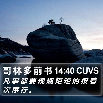 哥 林 多 前 书 14:40 CUVS Bible Verse Image