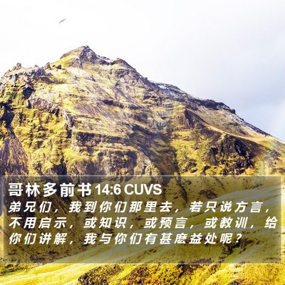 哥 林 多 前 书 14:6 CUVS Bible Verse Image