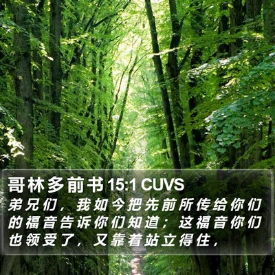 哥 林 多 前 书 15:1 CUVS Bible Verse Image