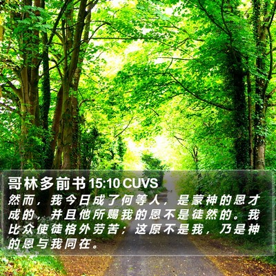 哥 林 多 前 书 15:10 CUVS Bible Verse Image