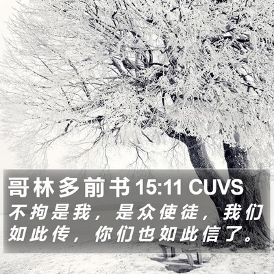 哥 林 多 前 书 15:11 CUVS Bible Verse Image