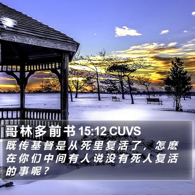 哥 林 多 前 书 15:12 CUVS Bible Verse Image