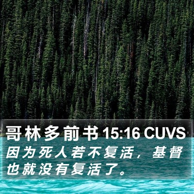 哥 林 多 前 书 15:16 CUVS Bible Verse Image