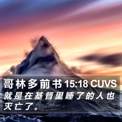 哥 林 多 前 书 15:18 CUVS Bible Verse Image