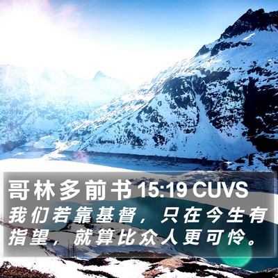 哥 林 多 前 书 15:19 CUVS Bible Verse Image