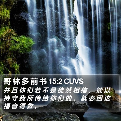 哥 林 多 前 书 15:2 CUVS Bible Verse Image