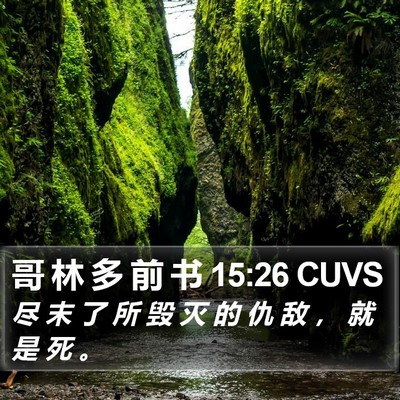 哥 林 多 前 书 15:26 CUVS Bible Verse Image