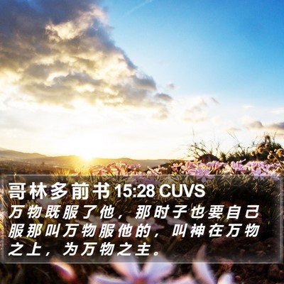 哥 林 多 前 书 15:28 CUVS Bible Verse Image