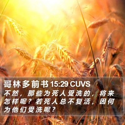哥 林 多 前 书 15:29 CUVS Bible Verse Image