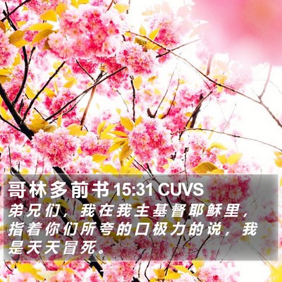 哥 林 多 前 书 15:31 CUVS Bible Verse Image