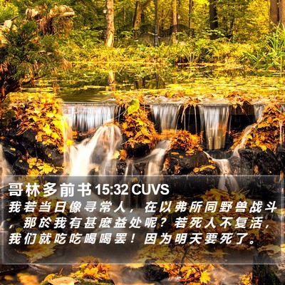 哥 林 多 前 书 15:32 CUVS Bible Verse Image