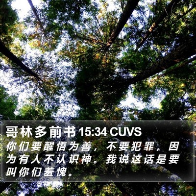 哥 林 多 前 书 15:34 CUVS Bible Verse Image