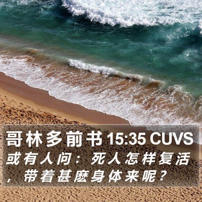 哥 林 多 前 书 15:35 CUVS Bible Verse Image