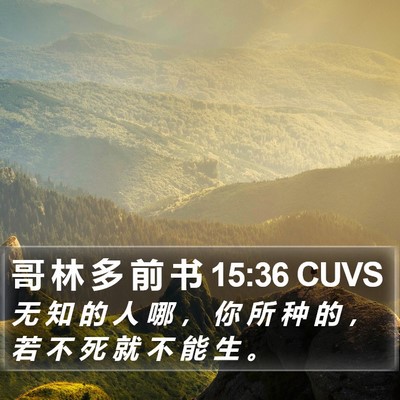 哥 林 多 前 书 15:36 CUVS Bible Verse Image
