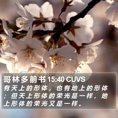 哥 林 多 前 书 15:40 CUVS Bible Verse Image