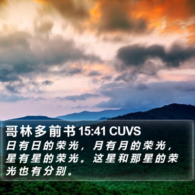哥 林 多 前 书 15:41 CUVS Bible Verse Image