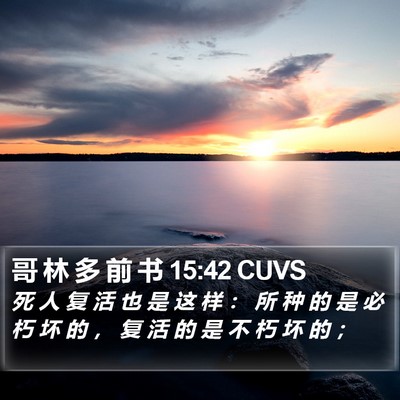哥 林 多 前 书 15:42 CUVS Bible Verse Image