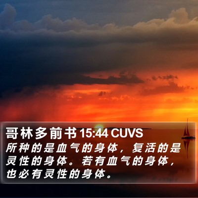 哥 林 多 前 书 15:44 CUVS Bible Verse Image