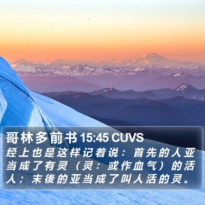 哥 林 多 前 书 15:45 CUVS Bible Verse Image