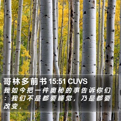 哥 林 多 前 书 15:51 CUVS Bible Verse Image