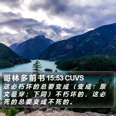 哥 林 多 前 书 15:53 CUVS Bible Verse Image