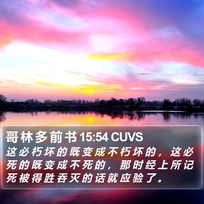 哥 林 多 前 书 15:54 CUVS Bible Verse Image